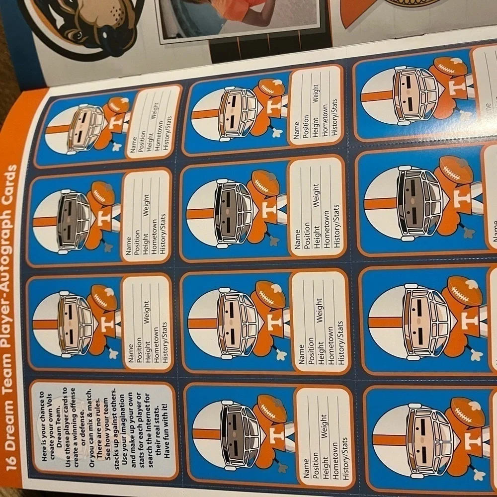 UT RARE HTF - 🏈 New University of Tennessee Go Vols Activity Book, Collectible